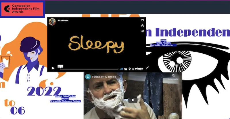 Festival Internacional de Cine de Concepción (Chile)