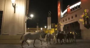 Villamarta Siete Jereles