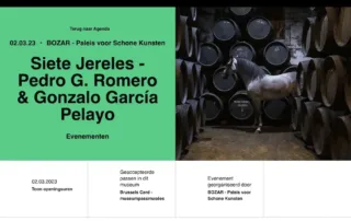 Siete Jereles en el C entro de Bellas Artes de Bruselas